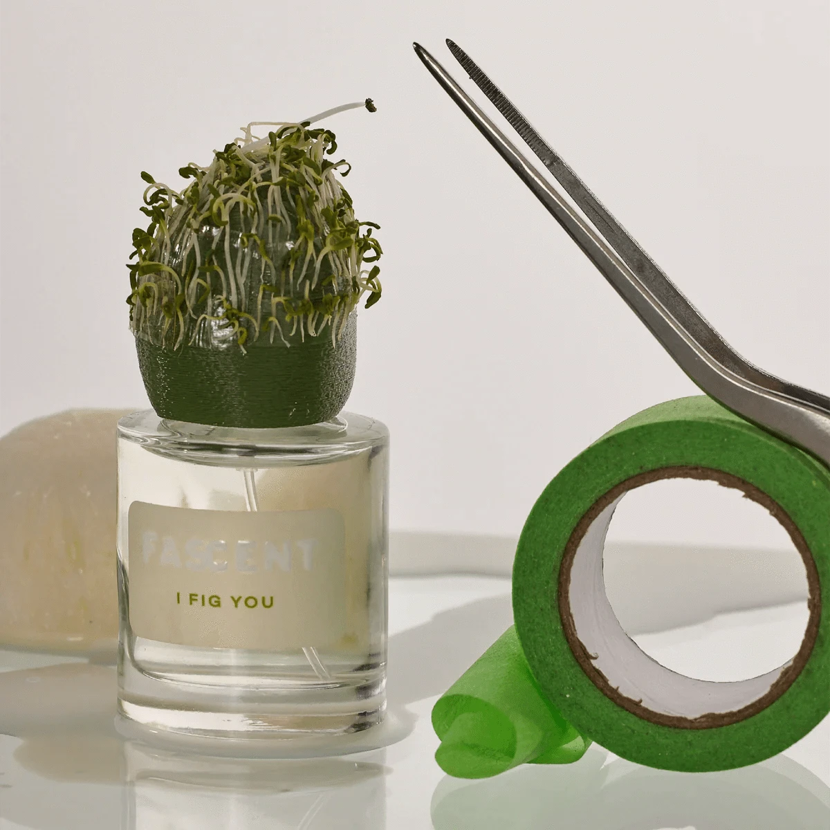 Fascent I FIG YOU Perfumes