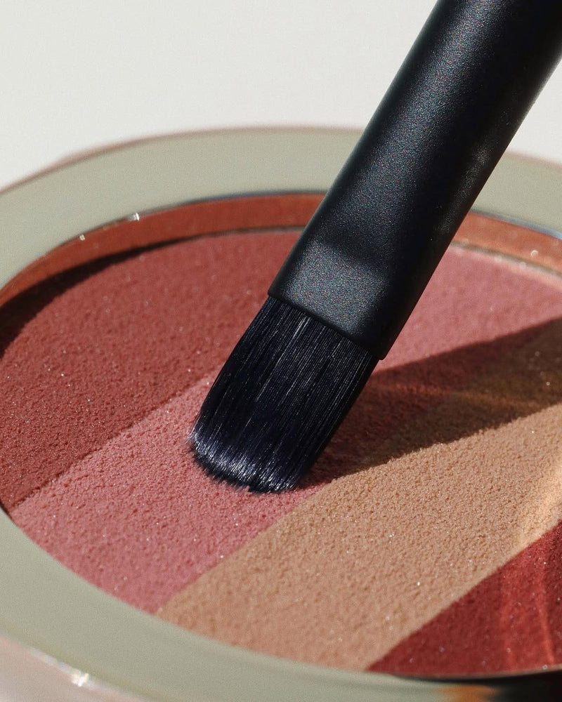 Lip Brush