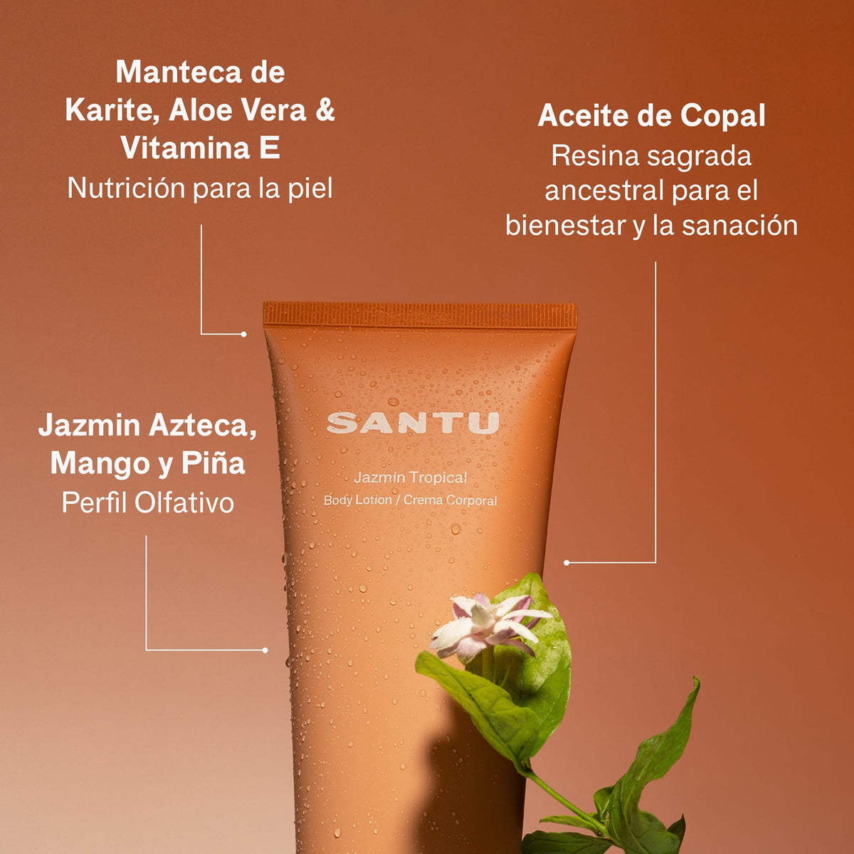 Santu Crema Corporal Jazmín Tropical | SANTU