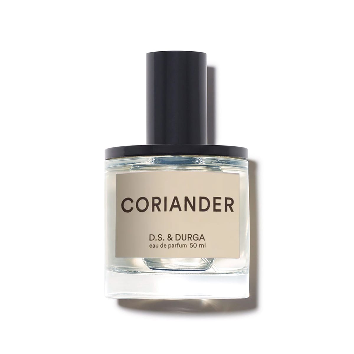 Coriander