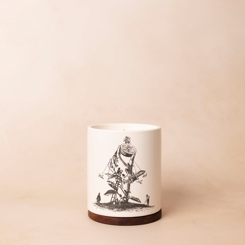 Izapa Vela Naranja Blanca Velas