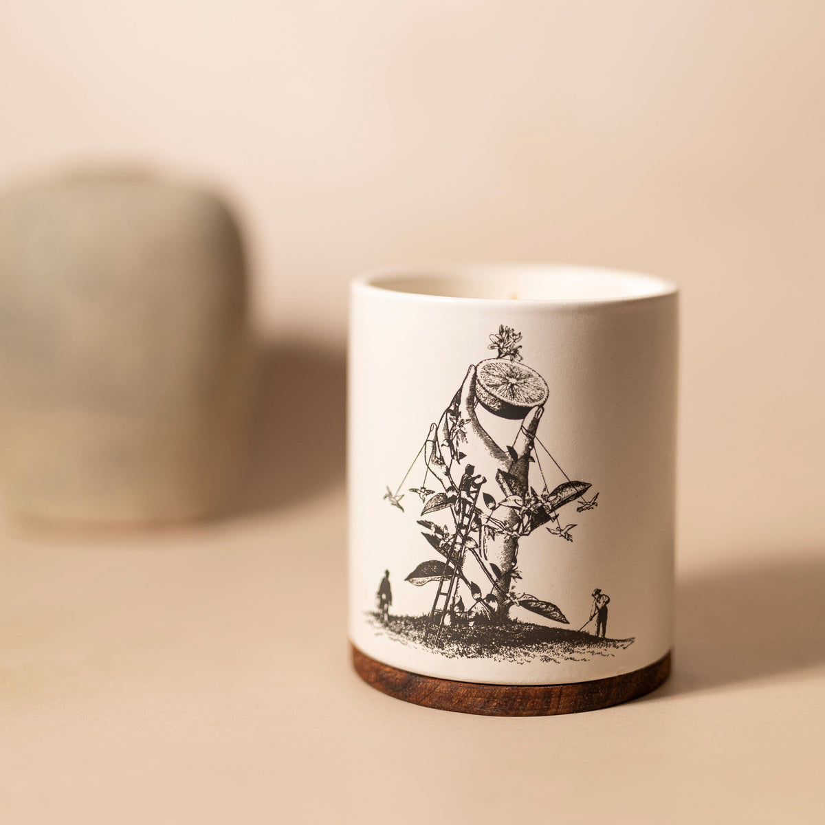 Izapa Vela Naranja Blanca Velas
