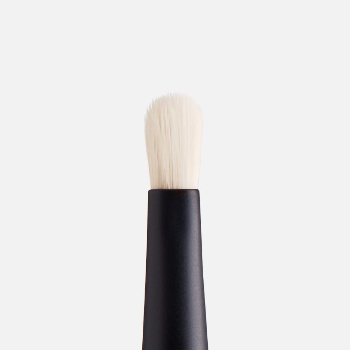 Spot Check Brush