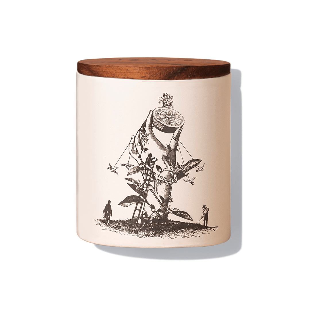 Izapa Vela Naranja Blanca Velas