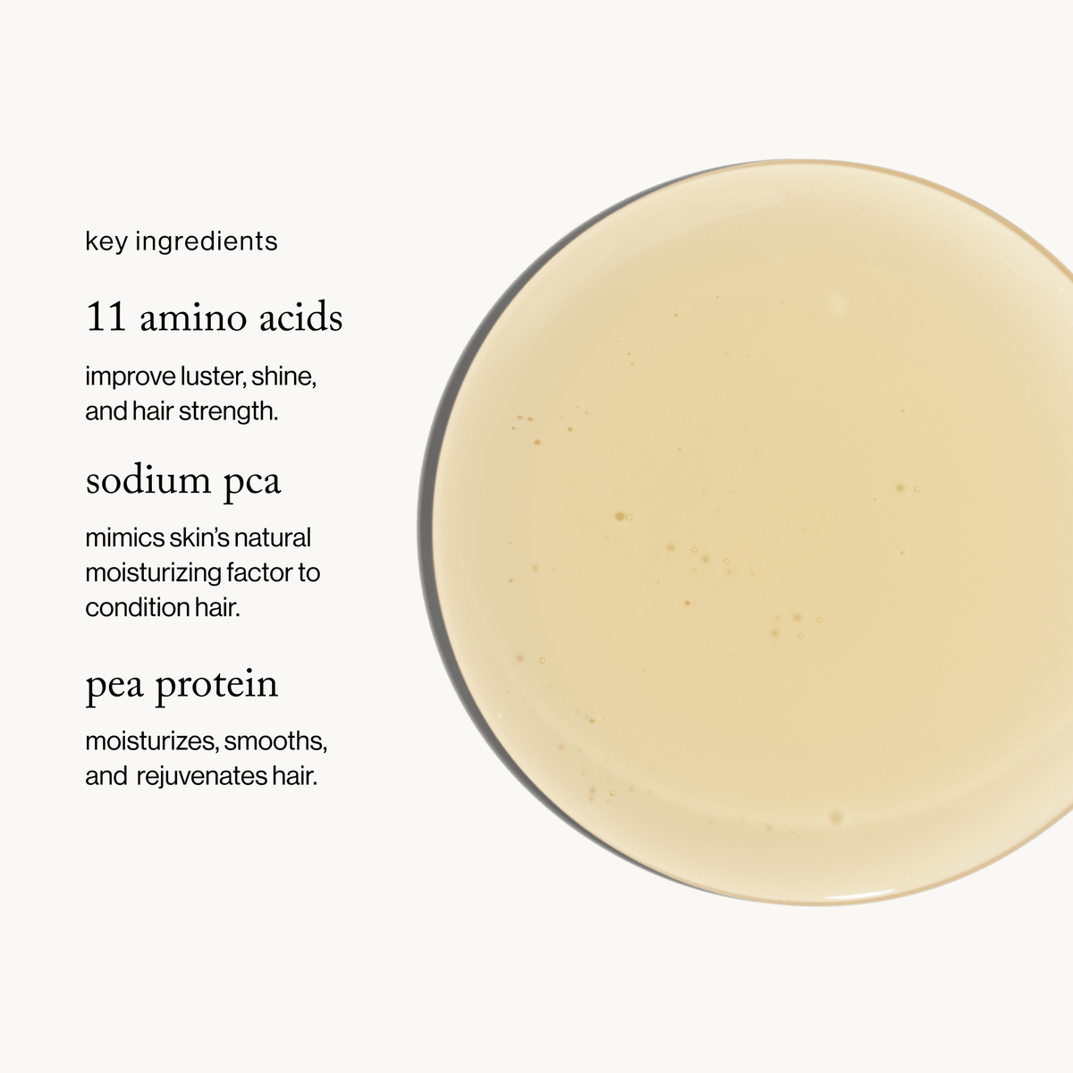 Amino Acid Shinebath Shampoo